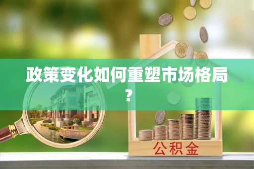 陕县政策变化如何重塑市场格局？