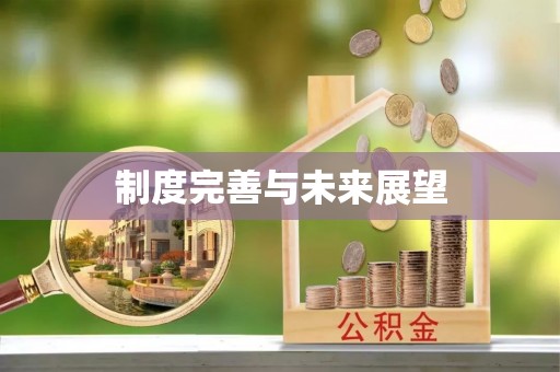 陕县制度完善与未来展望