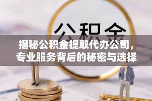 陕县揭秘公积金提取代办公司，专业服务背后的秘密与选择指南