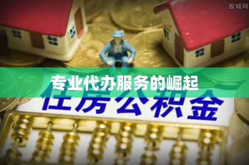 陕县专业代办服务的崛起