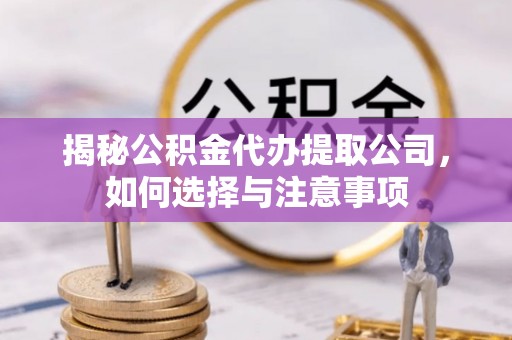 陕县揭秘公积金代办提取公司，如何选择与注意事项