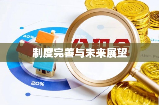 陕县制度完善与未来展望