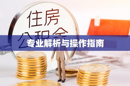 陕县专业解析与操作指南