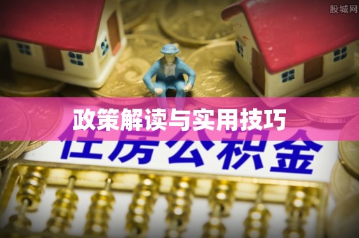 陕县政策解读与实用技巧