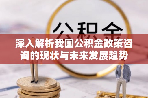 陕县深入解析我国公积金政策咨询的现状与未来发展趋势