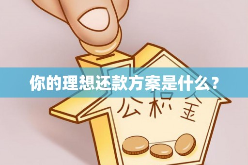陕县你的理想还款方案是什么？