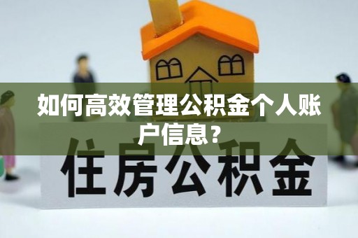 陕县如何高效管理公积金个人账户信息？
