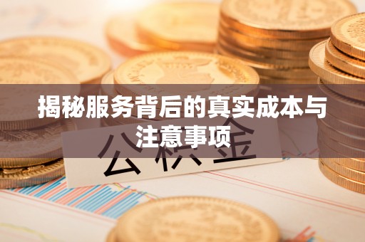 陕县揭秘服务背后的真实成本与注意事项