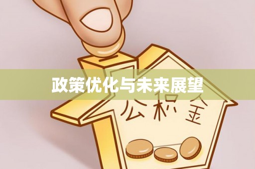 陕县政策优化与未来展望