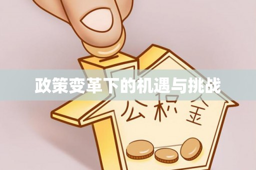陕县政策变革下的机遇与挑战