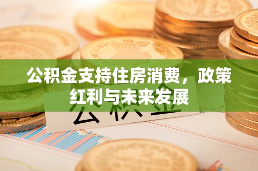 陕县公积金支持住房消费，政策红利与未来发展