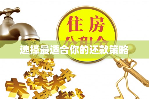陕县选择最适合你的还款策略
