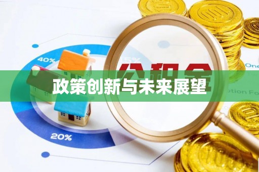 陕县政策创新与未来展望